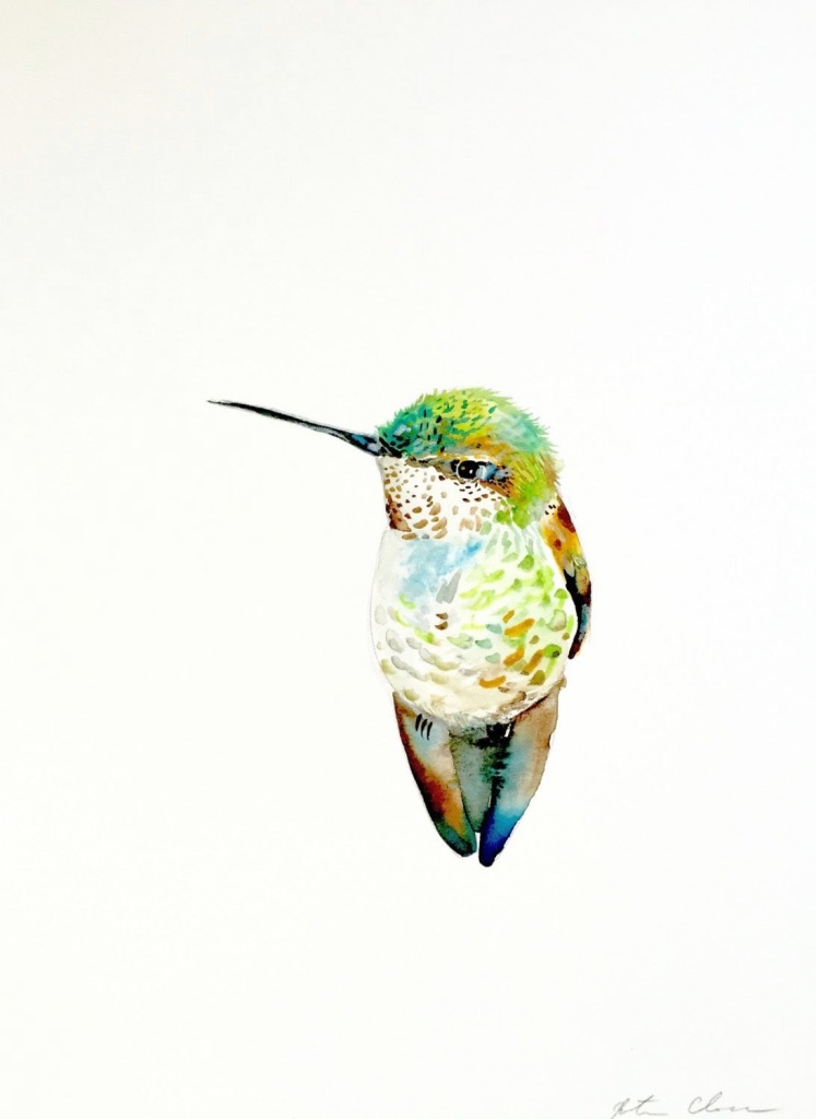 a watercolor painting of a hummingbird 
