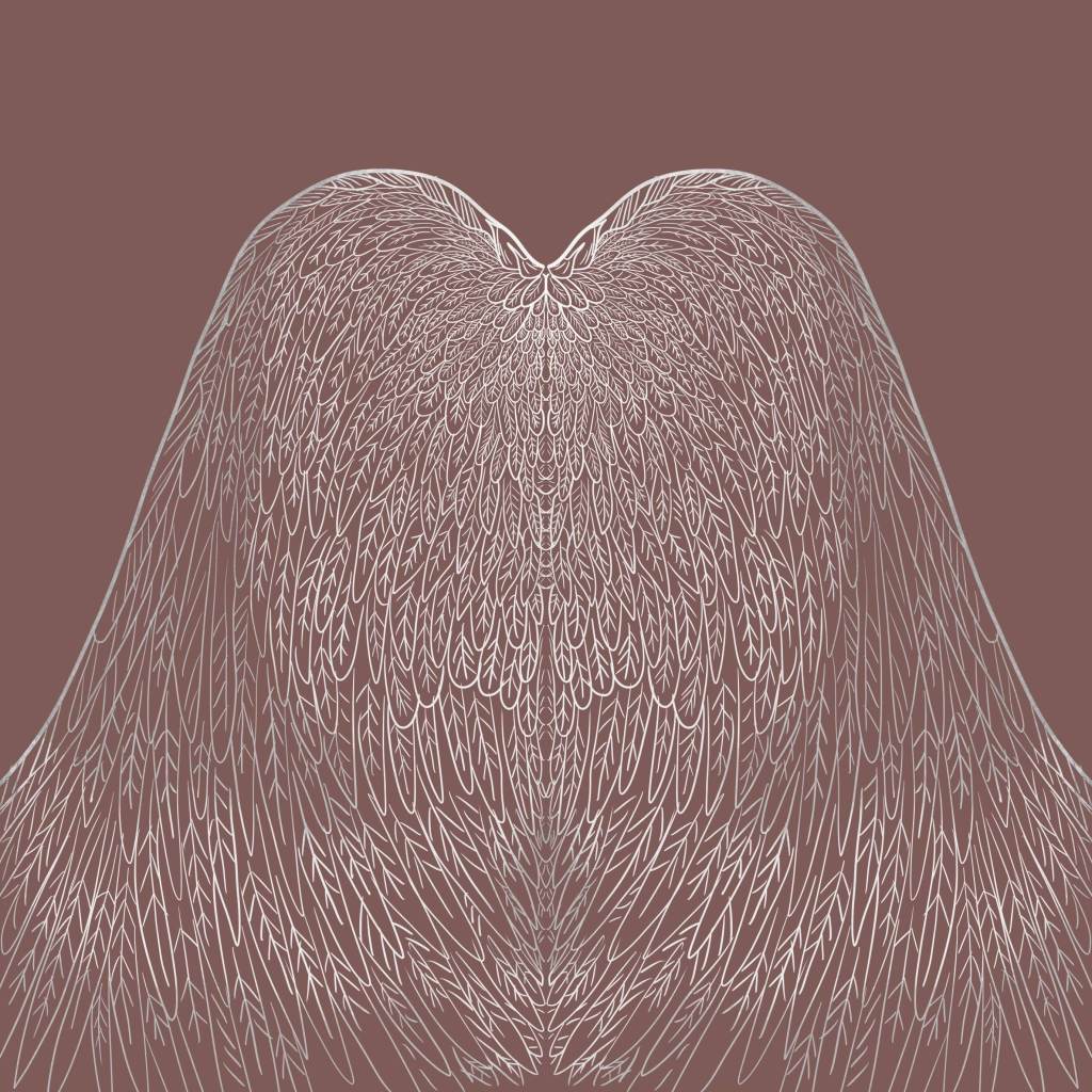 an illustration of a gate made of white feathers curving into each other 